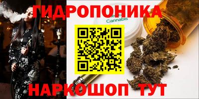 гидропоника Канаш