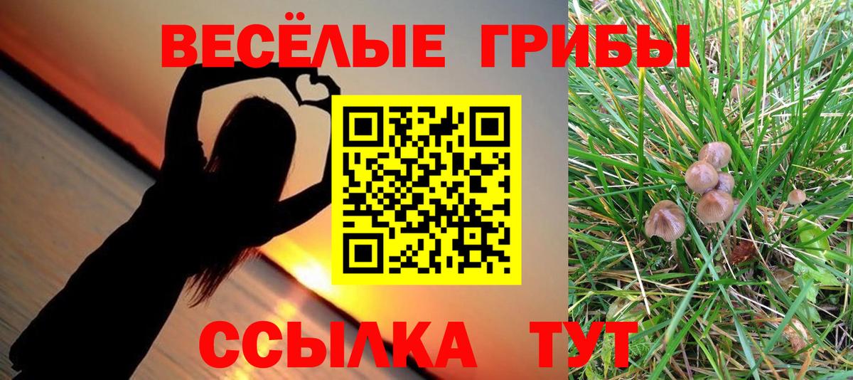 Псилоцибиновые грибы Cubensis Химки